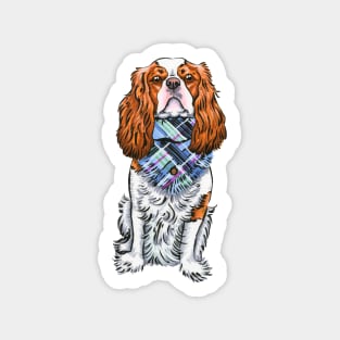 Cavalier King Charles Spaniel - Blenheim Scarf Sticker